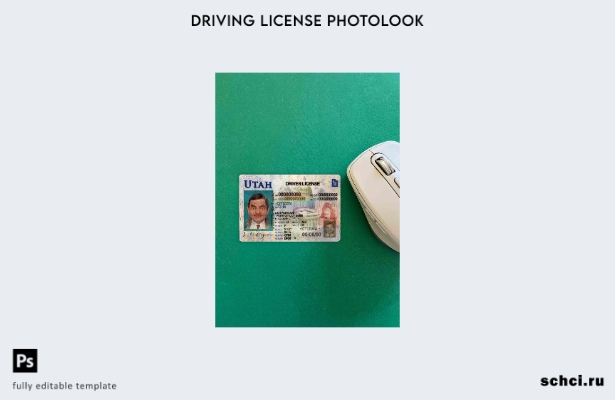цифровая загрузка США Юта DL шаблон Photolook FRONT